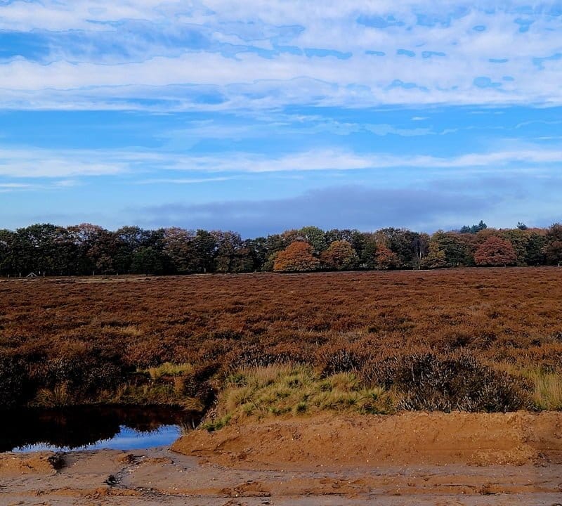 de Wever - kamers veluwe met kinderen
