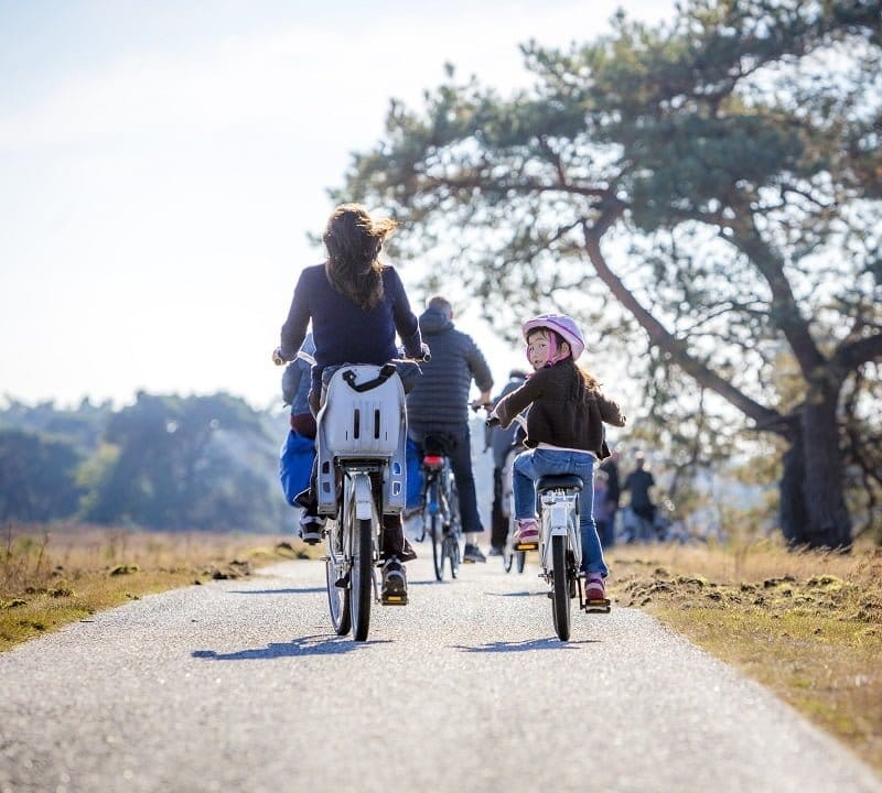 de Wever - kamers veluwe met kinderen