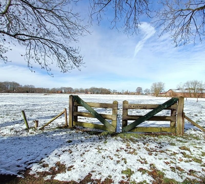 de Wever - kamers veluwe met kinderen