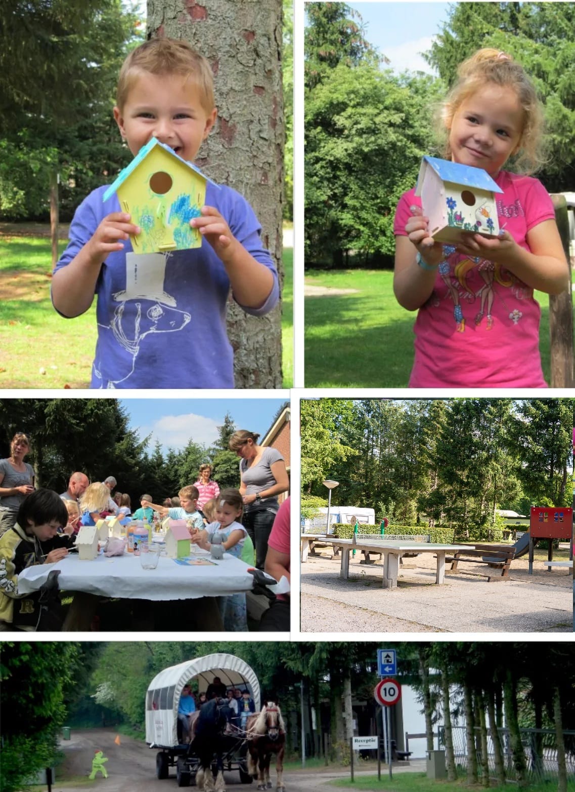 Kindvriendelijke Camping Beek en Hei